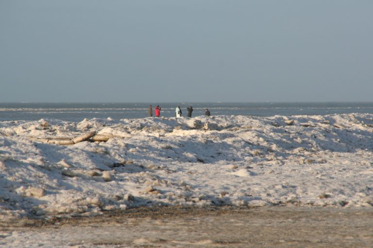 Neujahr 2011