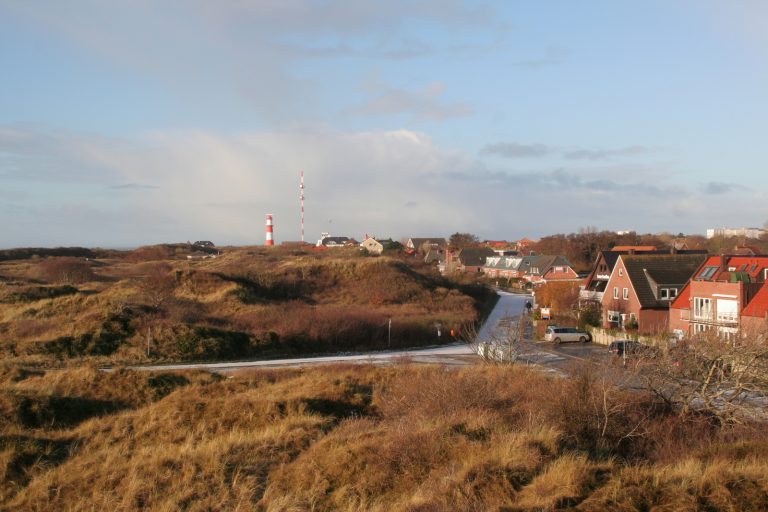 Januar 2011