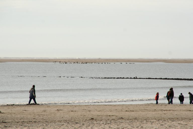 März 2010