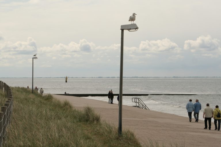 Mai 2007
