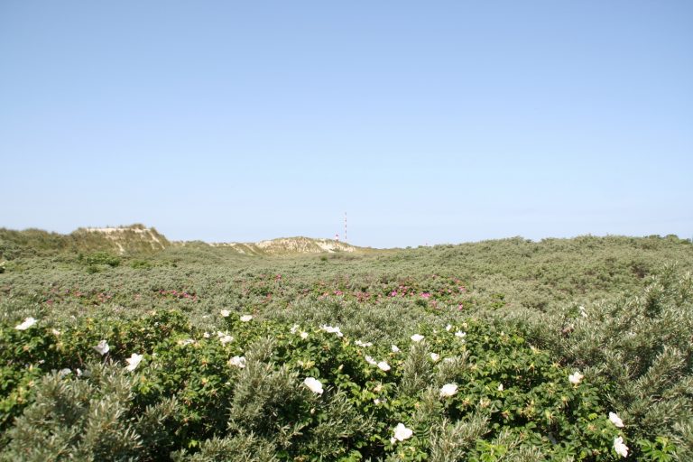 Mai 2007