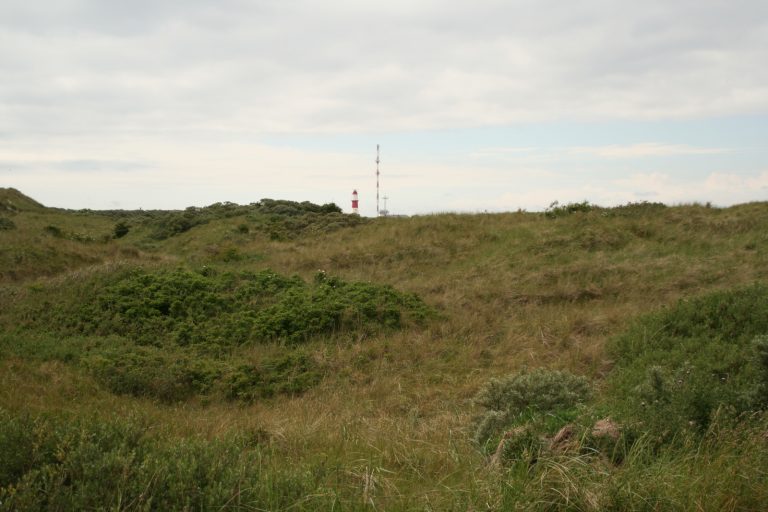 Juni 2006