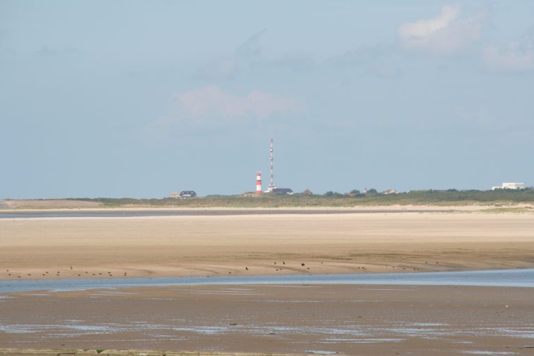 August 2010