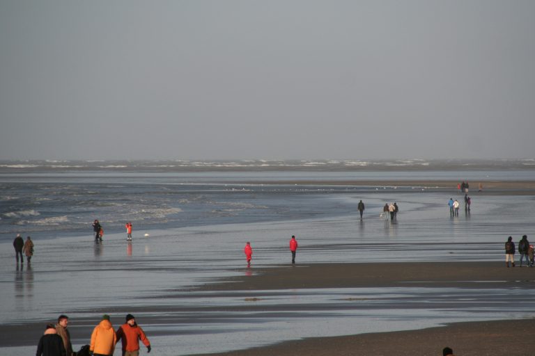 Silvester 2006