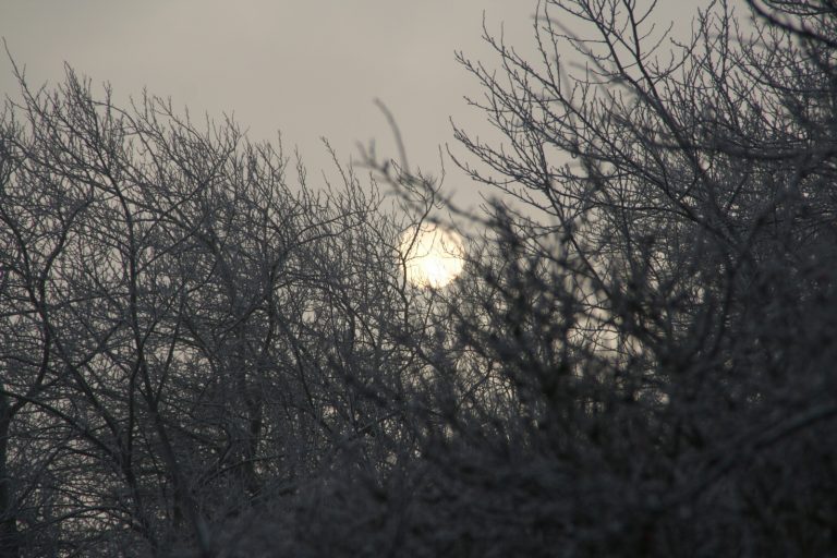 Silvester 2008