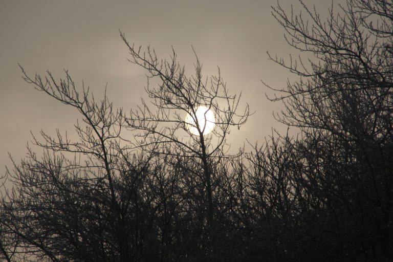 Silvester 2008
