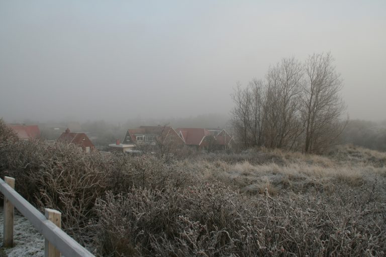 Silvester 2008