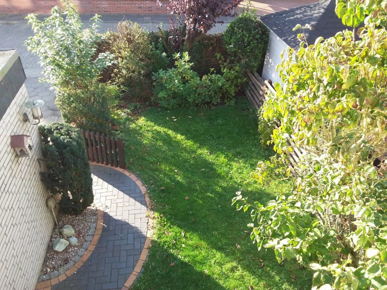 Blick in den Garten